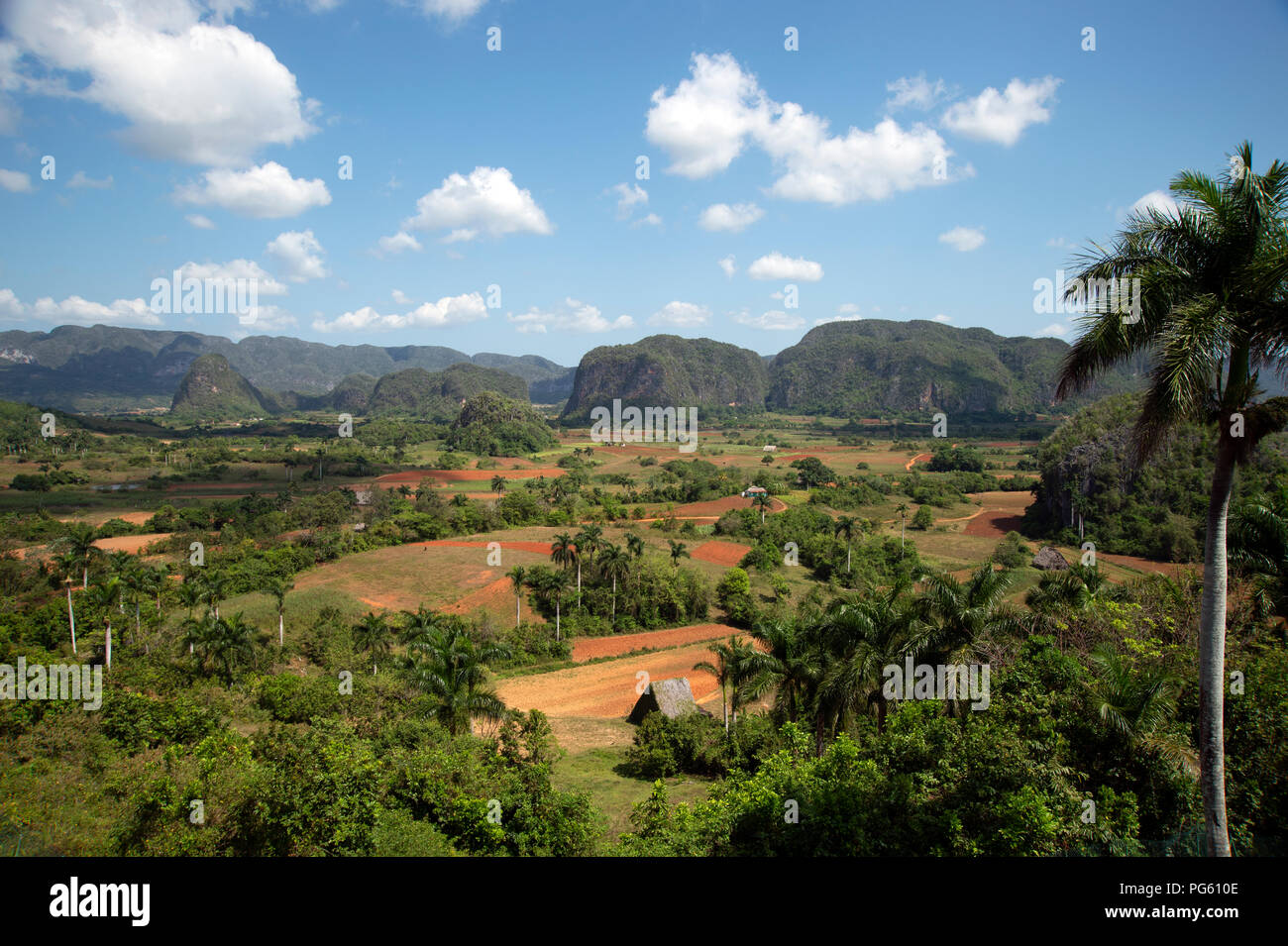 Verde e lussureggiante calcare Mogotes dominano la coltivazione del tabacco il paesaggio della Valle de Vinales nella parte occidentale di Cuba Foto Stock