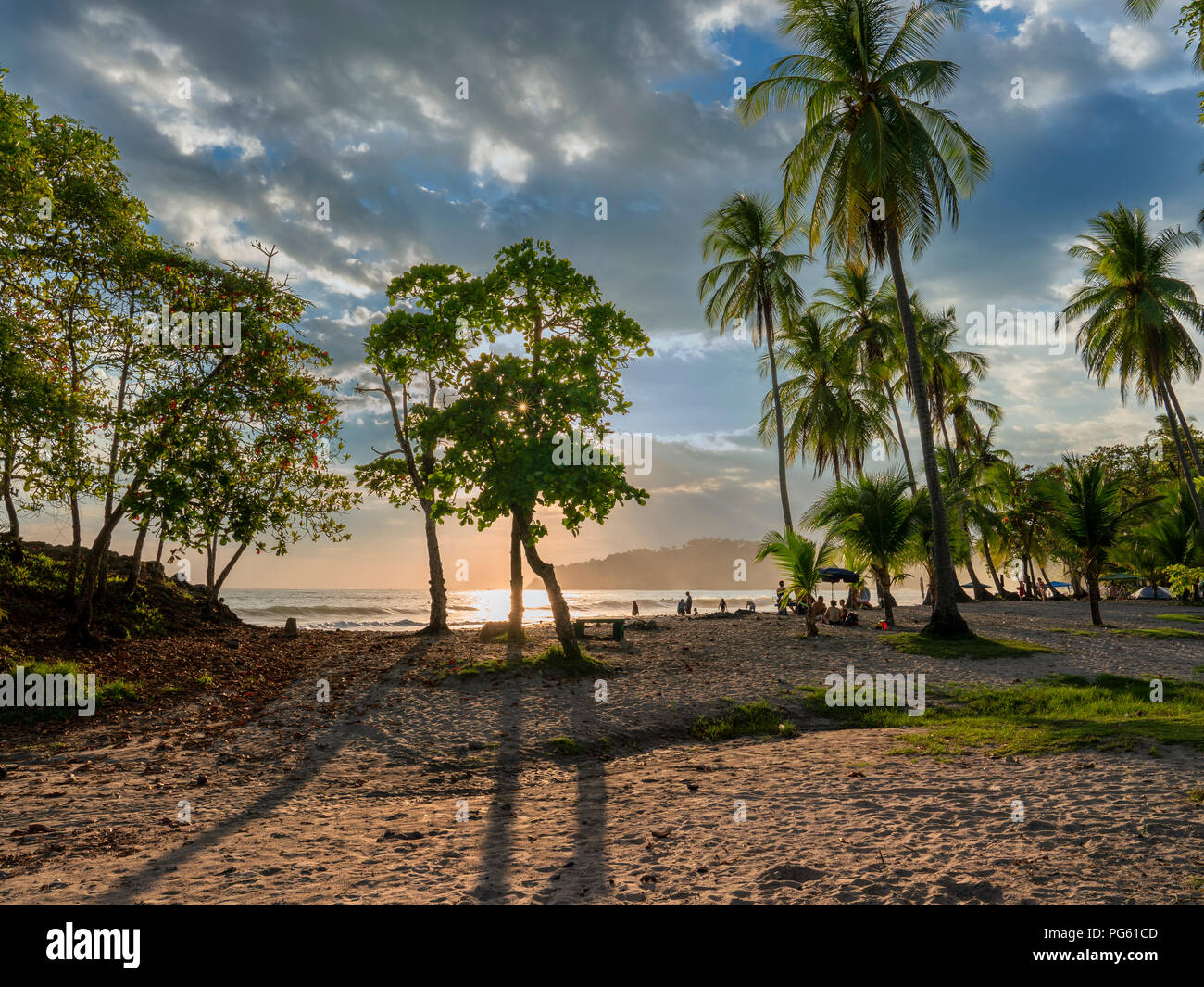 Spiaggia, Parco Nazionale di Corcovado, Osa Peninsula, Costa Rica. Foto Stock