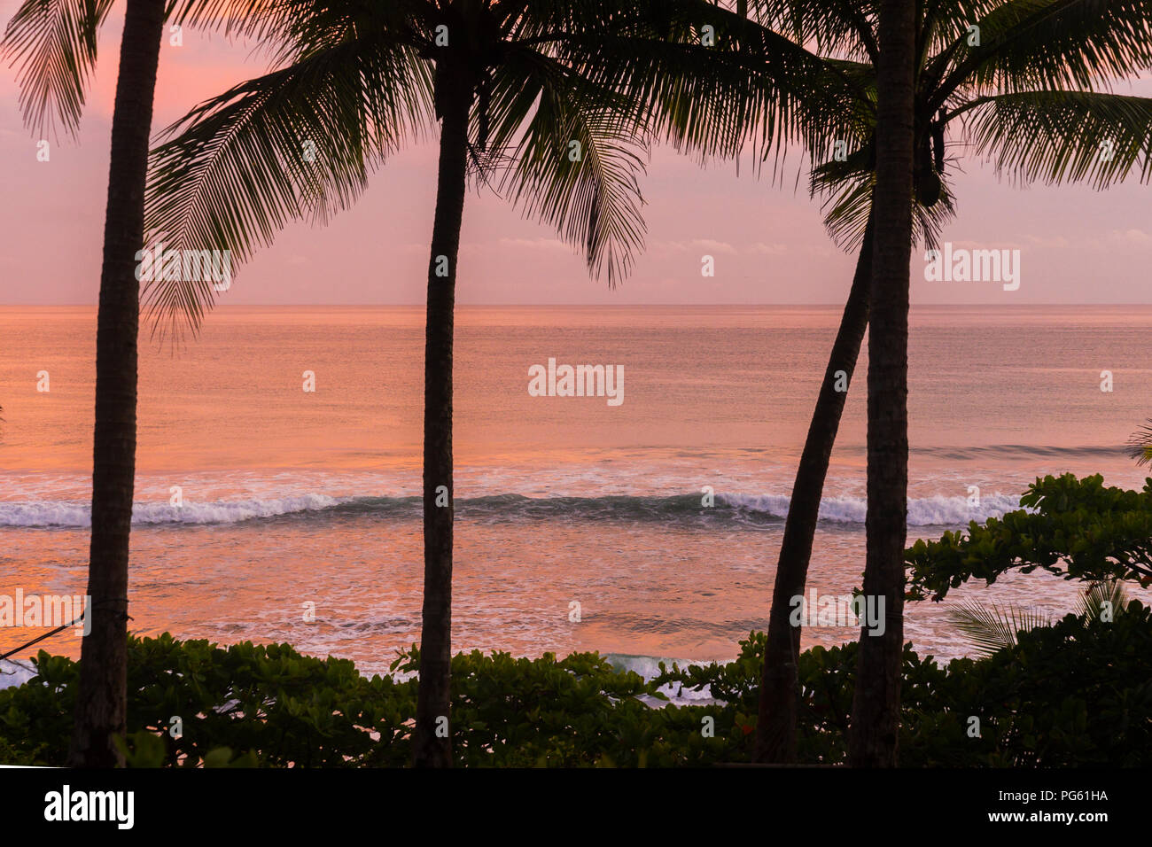 Spiaggia, Parco Nazionale di Corcovado, Osa Peninsula, Costa Rica. Foto Stock