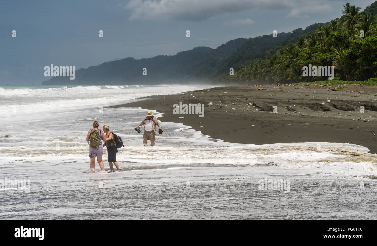 Spiaggia, Parco Nazionale di Corcovado, Osa Peninsula, Costa Rica. Foto Stock