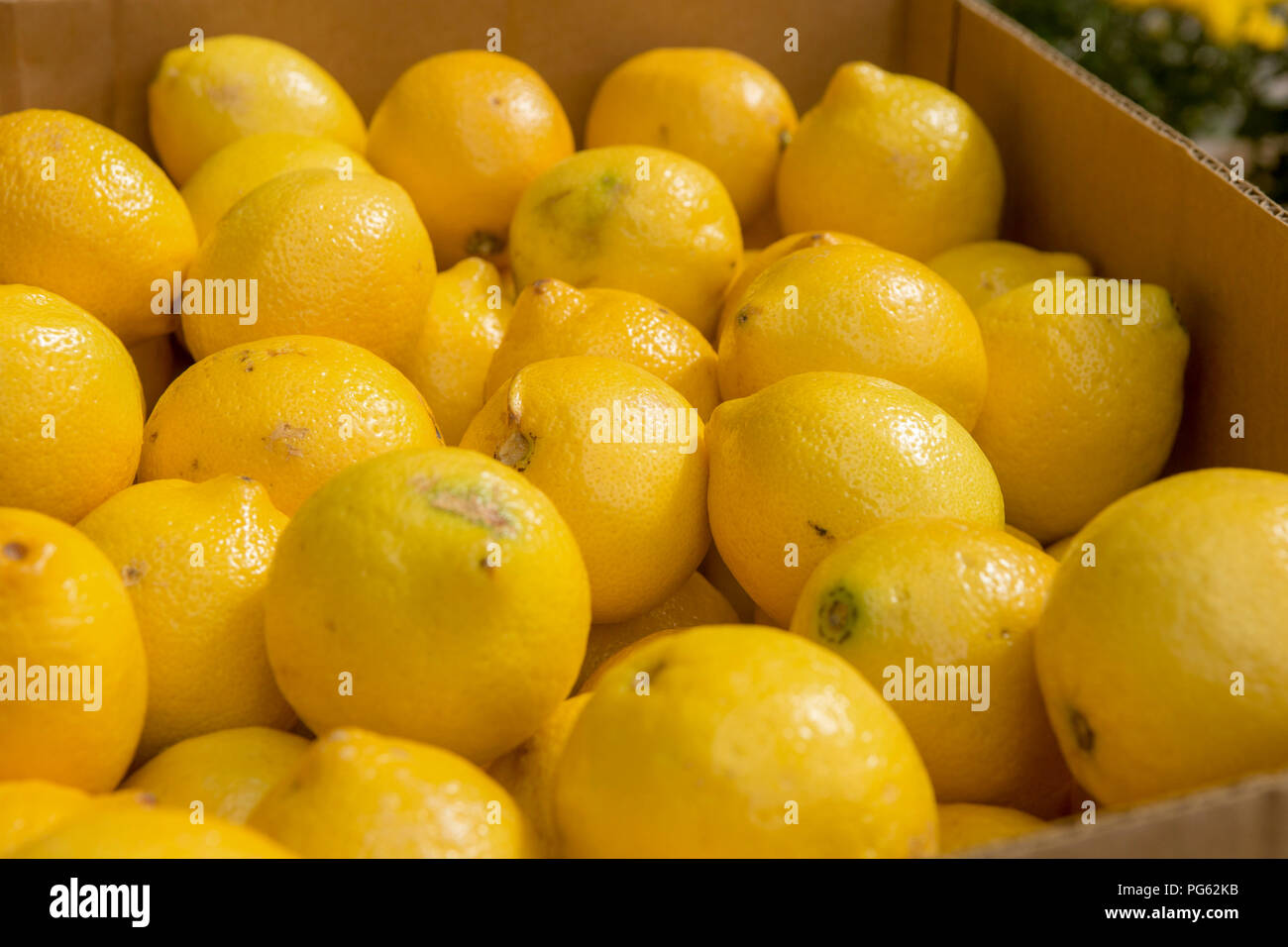 Scatola di limoni al di fuori Foto Stock