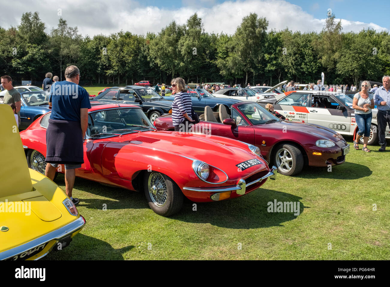 Red E-type Jaguar in un classico auto show. Foto Stock