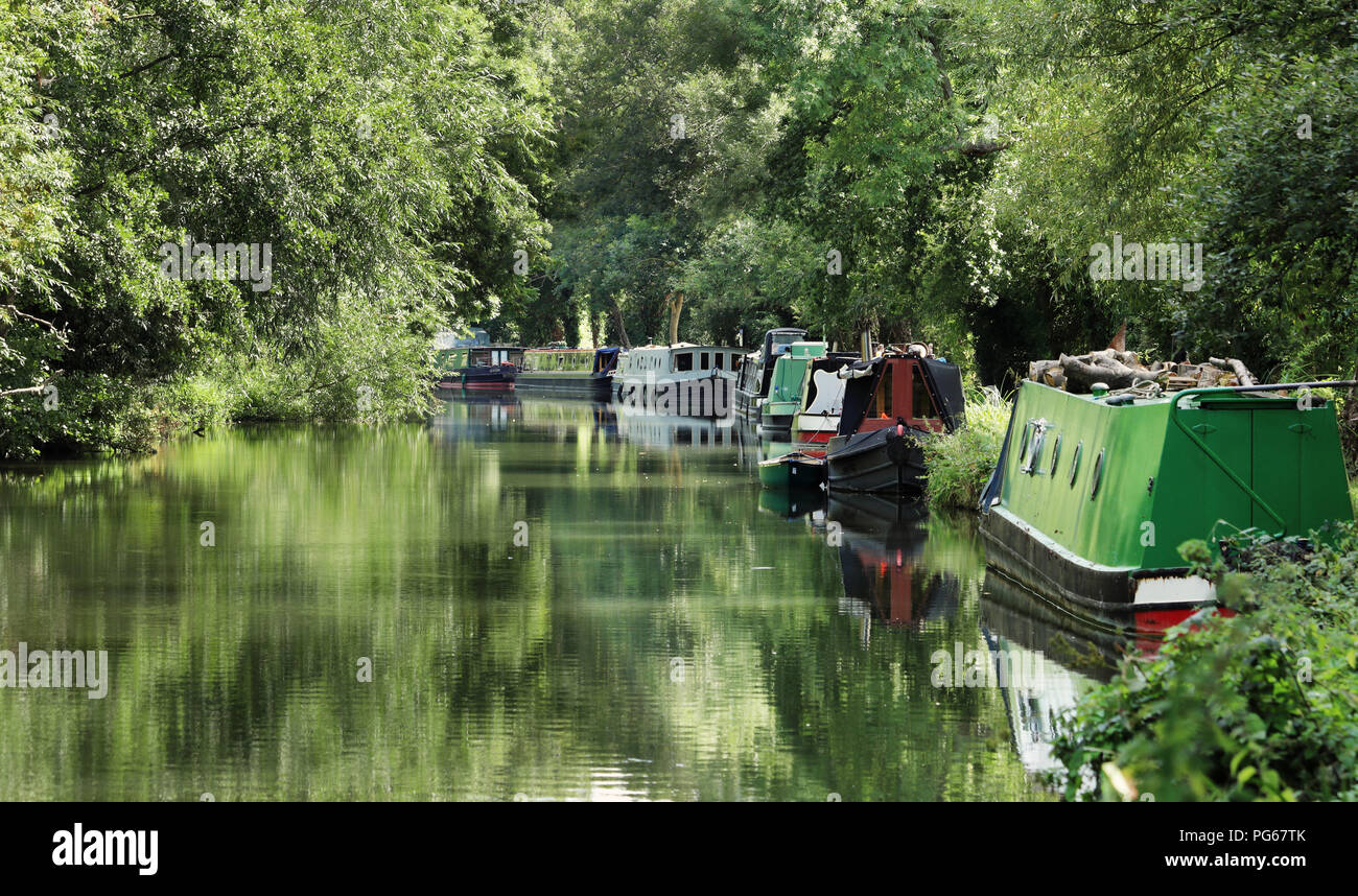 Narrowboats ormeggiato sul Kennet and Avon Canal in Berkshire, Inghilterra Foto Stock
