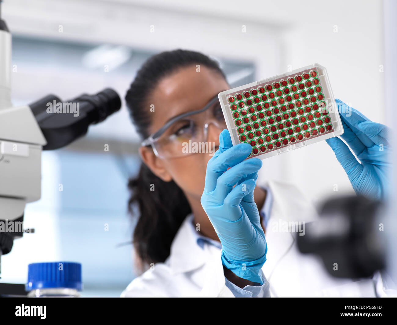 Donna scienziato preparare un multi ben vassoio contenente i campioni di sangue per il test clinico in laboratorio Foto Stock