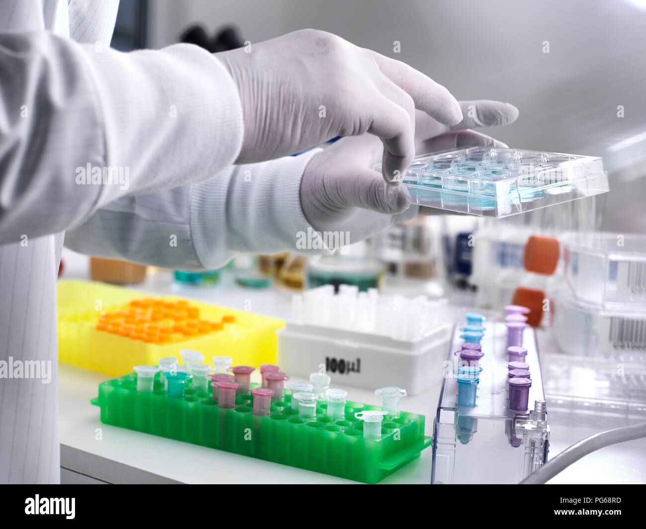 La ricerca nel campo delle biotecnologie, scienziato visualizzazione di esemplari in un multi pozzetto della piastra durante un esperimento in laboratorio Foto Stock