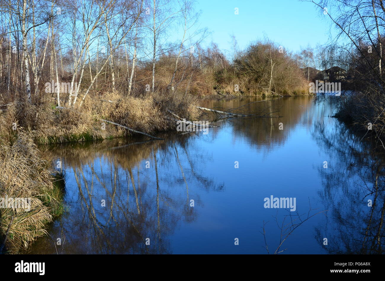 Un stagno di autunno Foto Stock