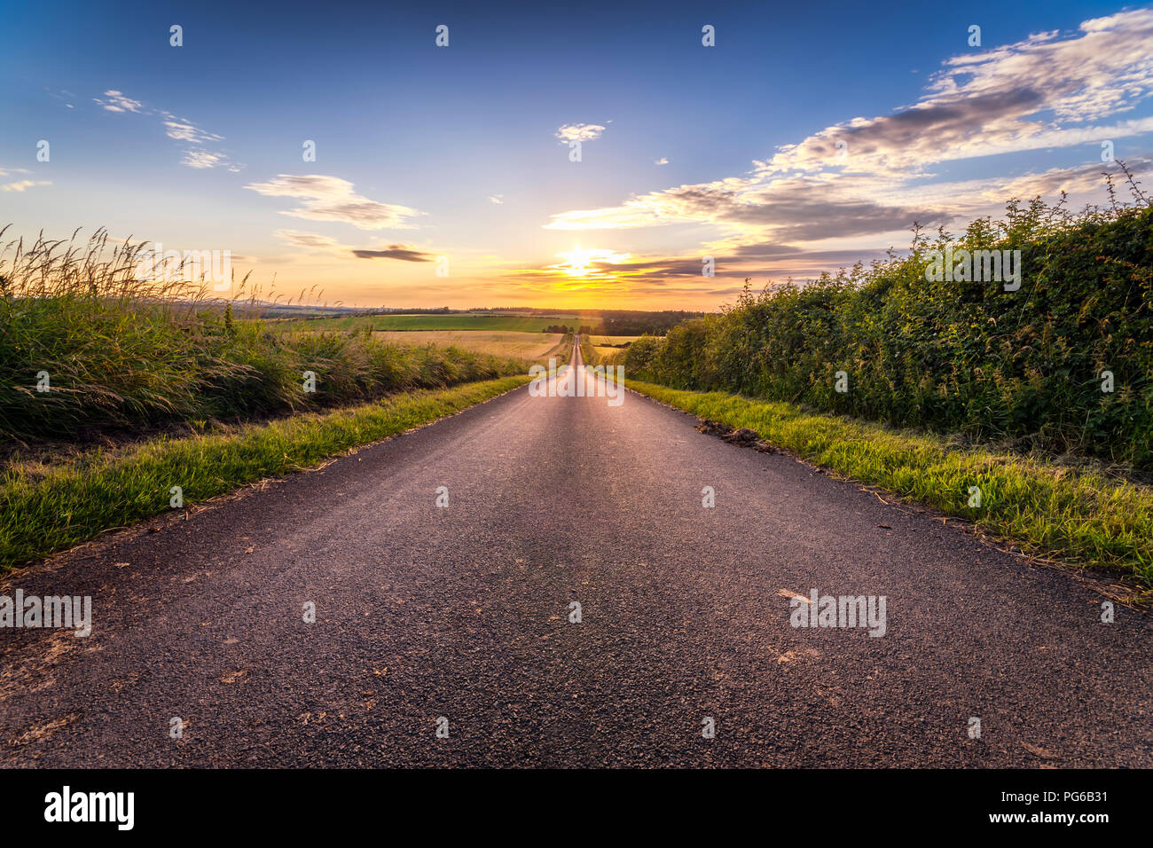 Regno Unito, Scozia, East Lothian, siepe linded country road al tramonto Foto Stock