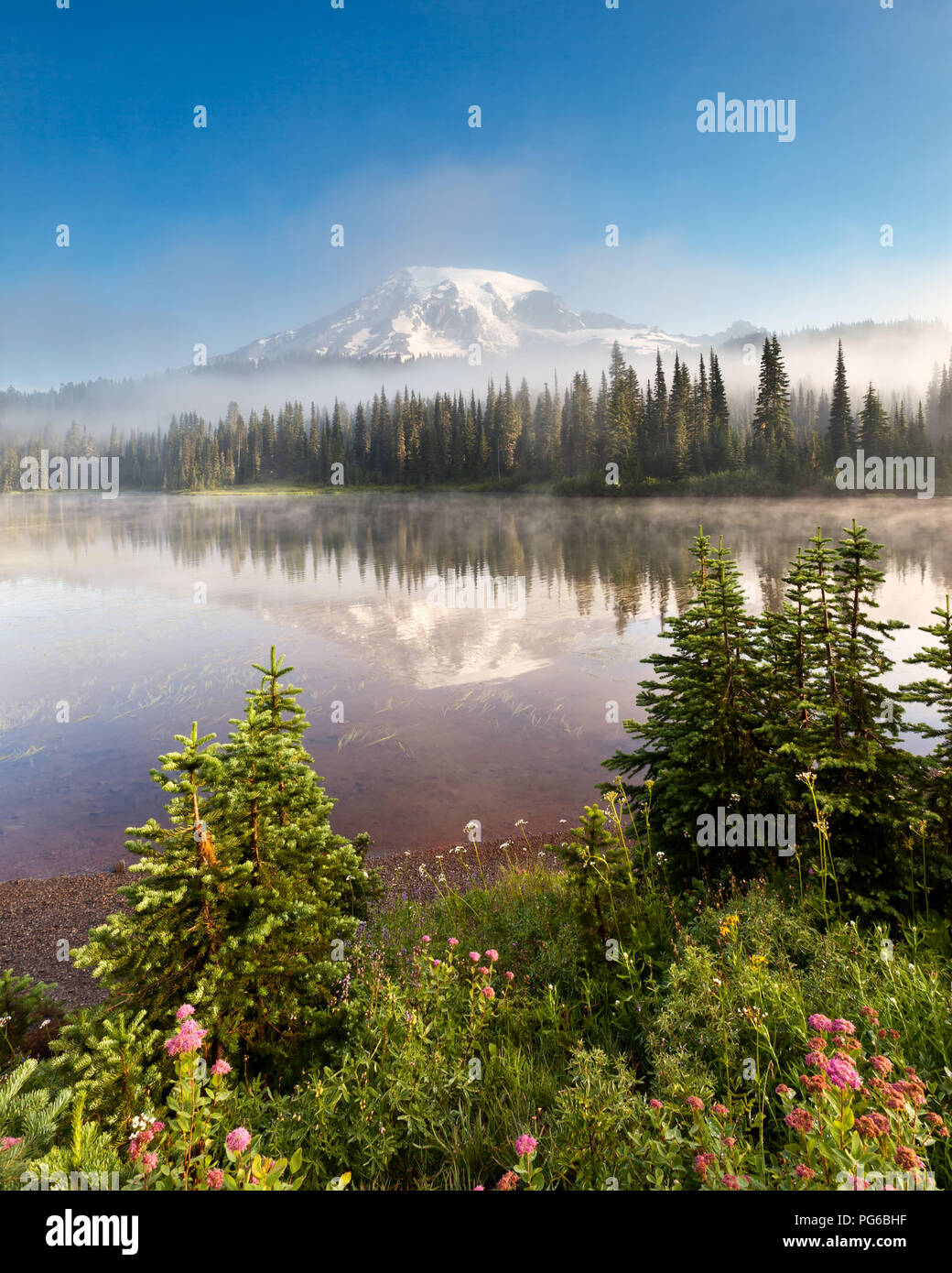 Mt Rainier e di riflessione sul lago con densa nebbia laminazione attraverso Foto Stock