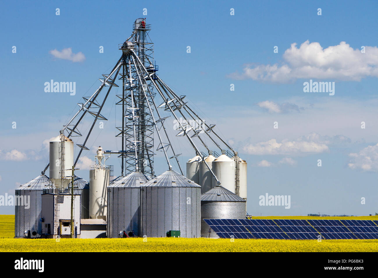 Un acciaio silos serbatoio di stoccaggio con pannello solare in un giallo canola field in fiore in Alberta, Canada. Foto Stock