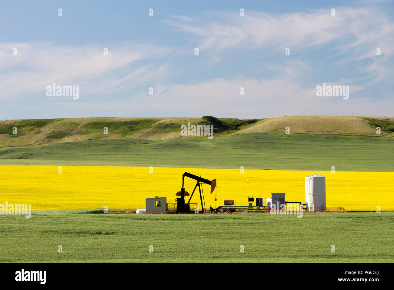 Un olio pumpjack è l'unità di superficie per un moto alternato del pistone pompa in un pozzo di petrolio. Esso viene utilizzato per sollevare meccanicamente il liquido fuori del bene se non Foto Stock