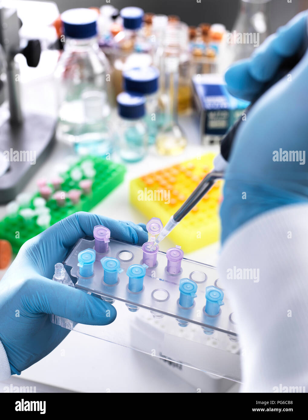 Esperimento di ricerca, scienziato campione di pipettaggio in fiale Foto Stock