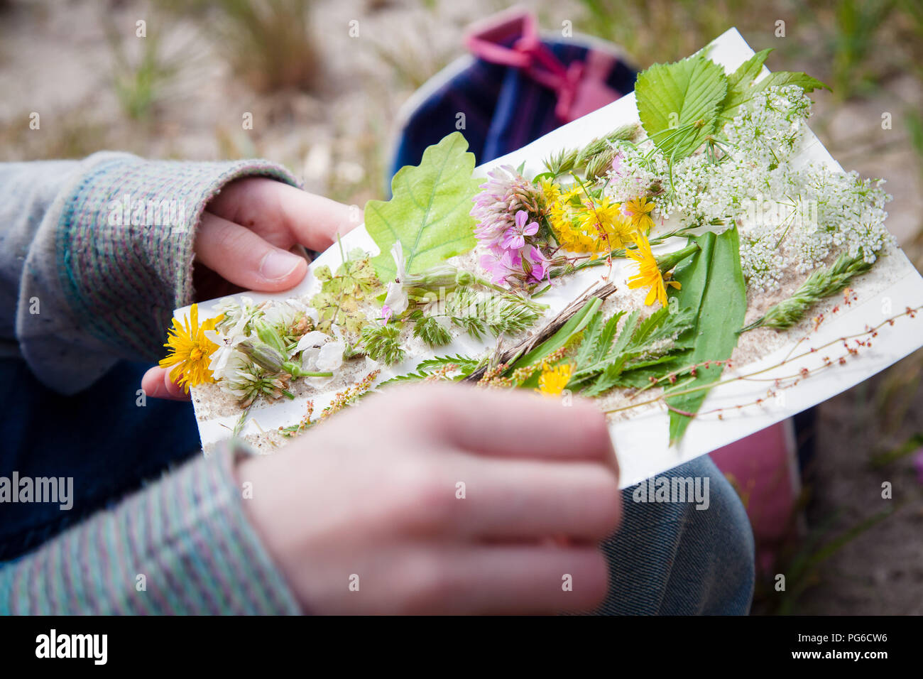 Bambino con foglie nell'opera d'arte - piante incollato sulla scheda Foto Stock
