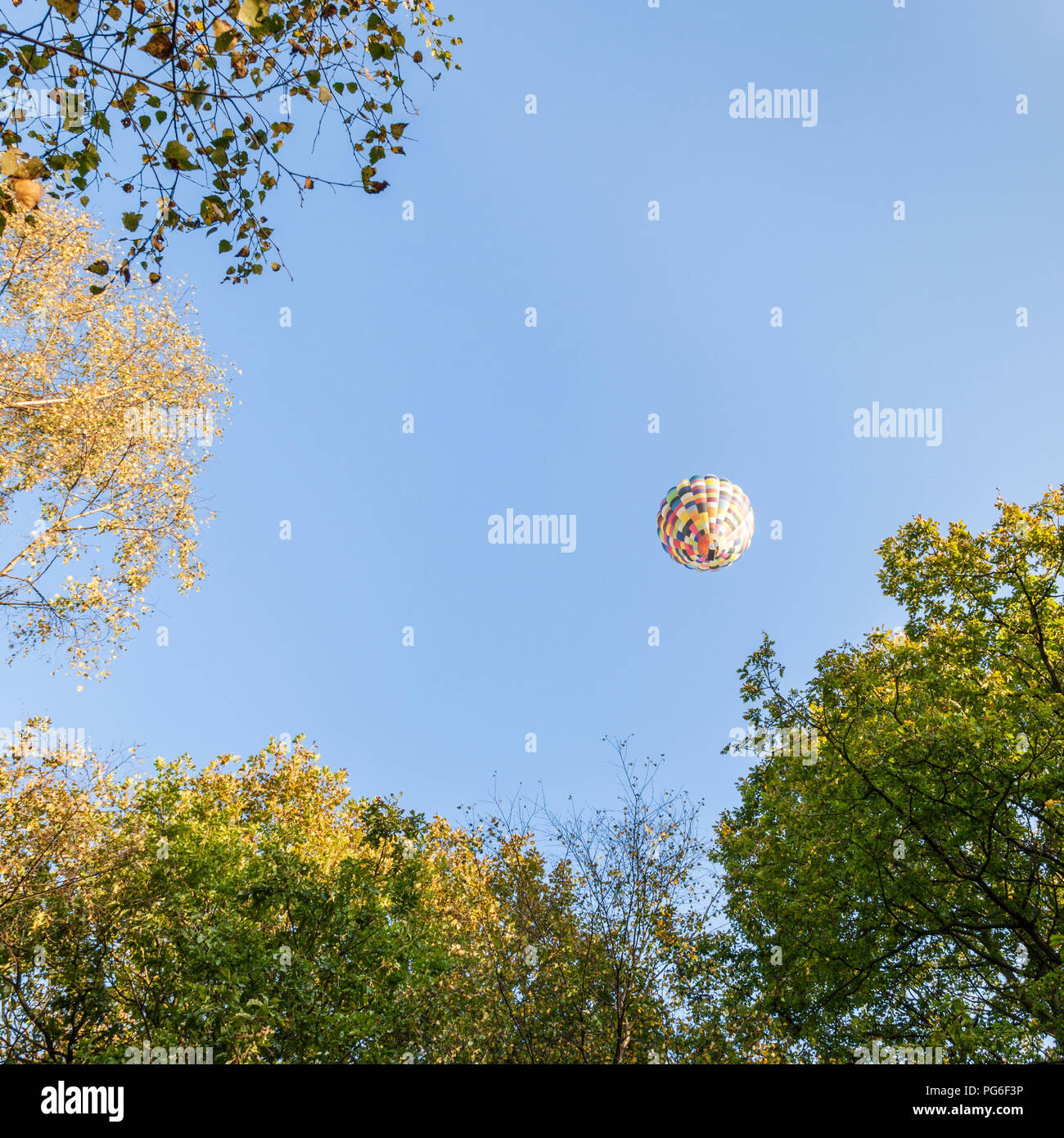 In mongolfiera ad aria calda. Volo in mongolfiera sopra gli alberi del bosco e contro un cielo blu in autunno, Derbyshire, Peak District, England, Regno Unito Foto Stock