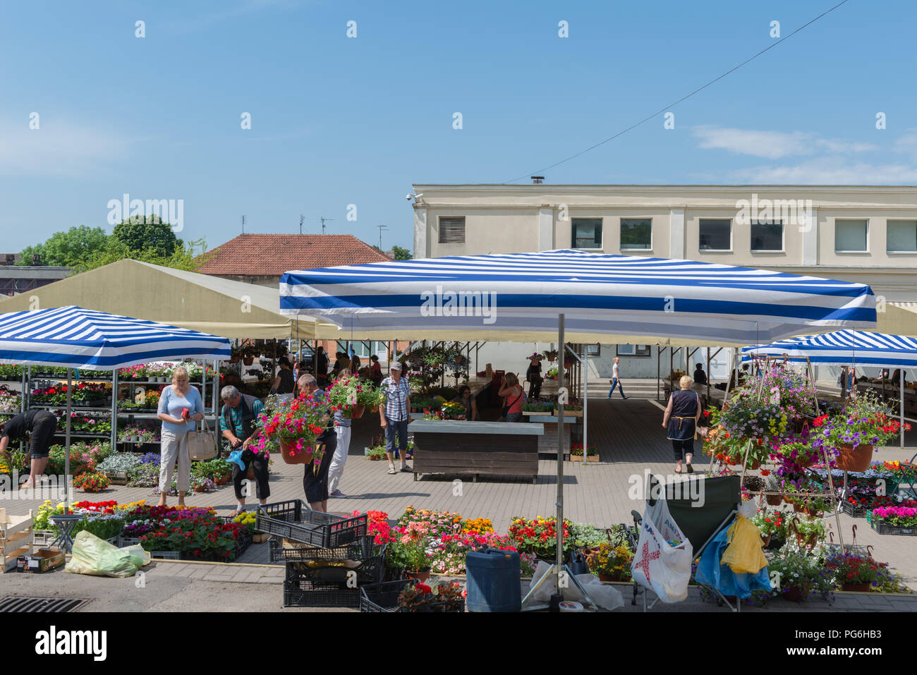 Giorno di mercato, bancarelle e Klaipeda, Courland Lagoon, della Lituania, dell'Europa orientale Foto Stock