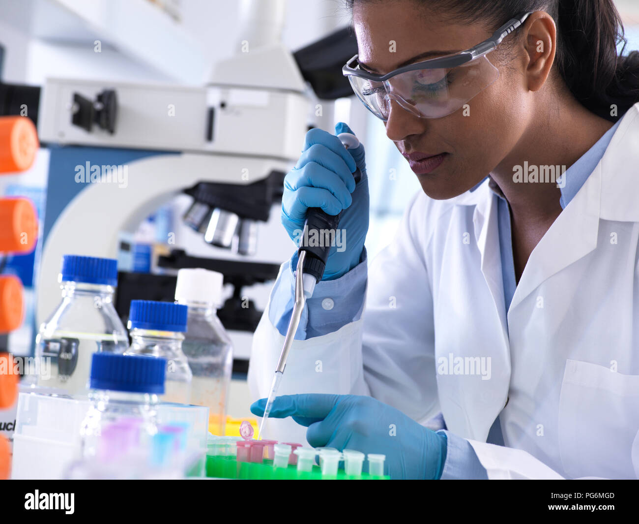 La ricerca genetica, donna scienziato il pipettaggio di DNA o campione chimico in una fiala eppendorf, analisi in laboratorio Foto Stock