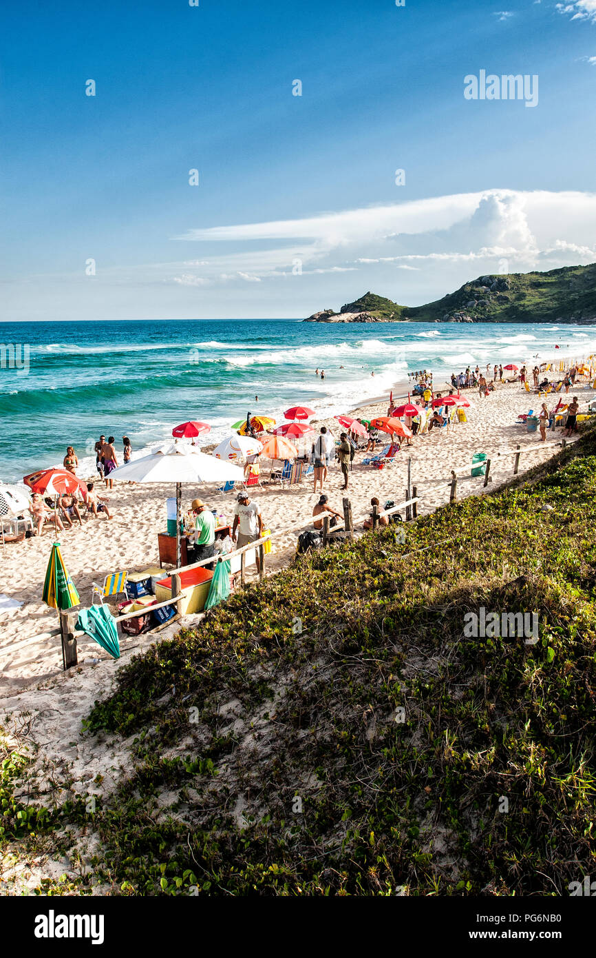 Mole Beach, una delle più affollate spiagge dell isola di Santa Catarina, durante la stagione estiva. Florianopolis, Santa Catarina, Brasile. Foto Stock