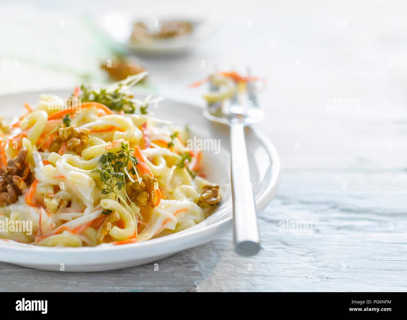 Noodle con Insalata di carote, noce e il crescione su piastra Foto Stock