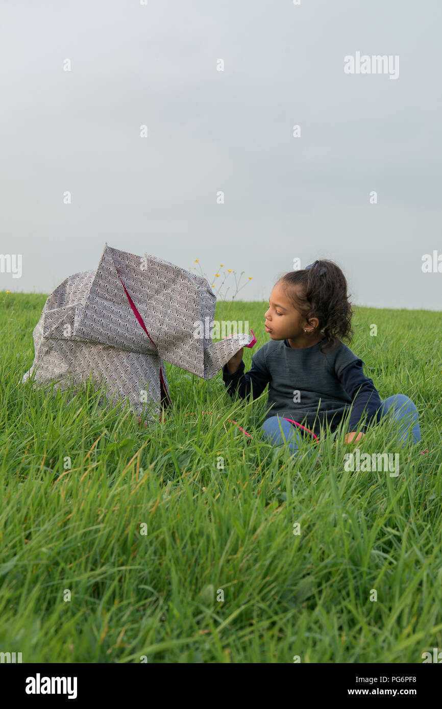 Bambina con origami elefante su prato Foto Stock