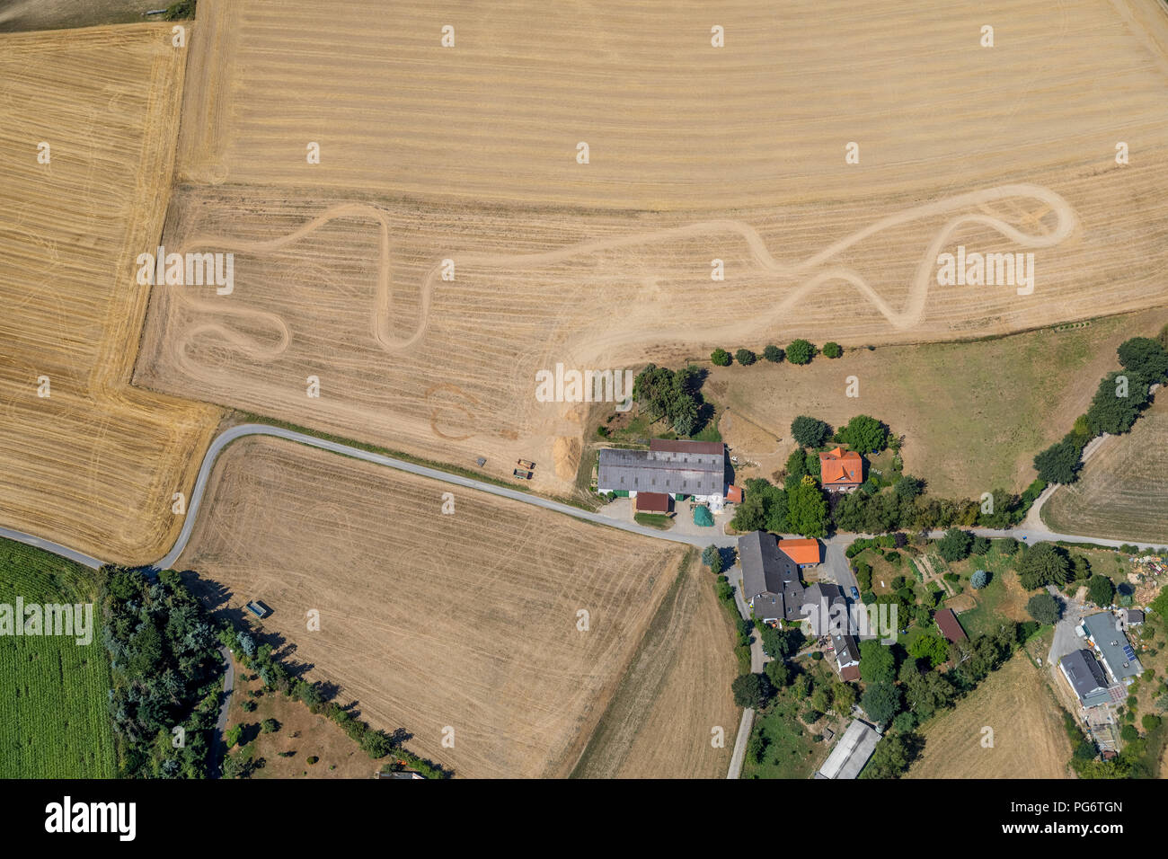 Piste di Motocross su un campo in Kleinhofweg a Heiligenhaus, siccità, la siccità, la calda estate, Heiligenhaus, la zona della Ruhr, Nord Reno-Westfalia, Germania Foto Stock