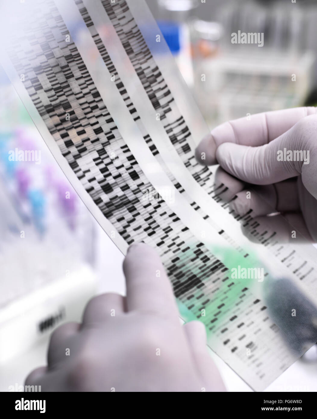 La ricerca genetica, scienziato tenendo un gel di DNA rivelando, il make-up genetico del campione Foto Stock