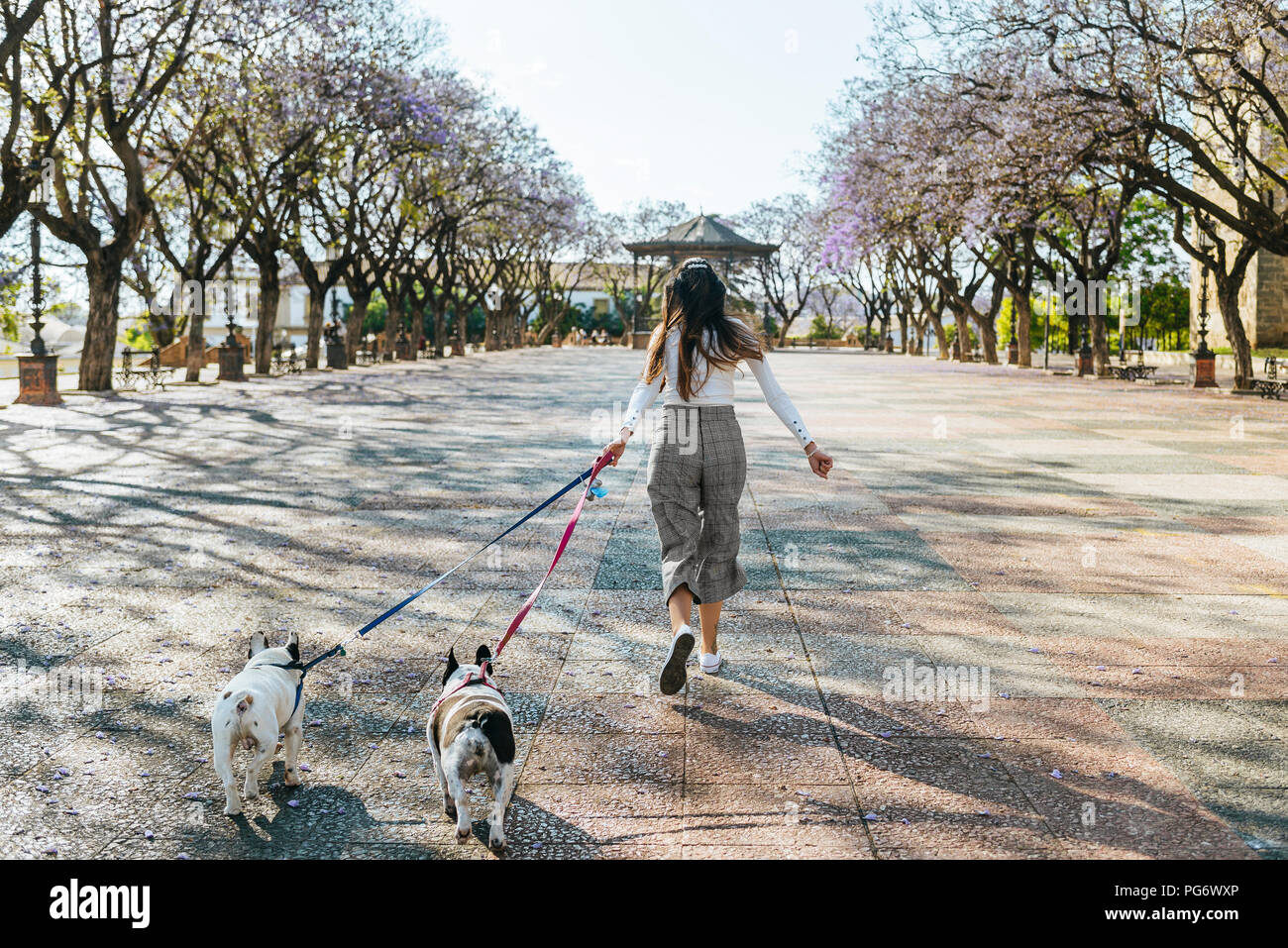 Spagna, Andalusia, Jerez de la Frontera, Donna in esecuzione con due cani su square Foto Stock