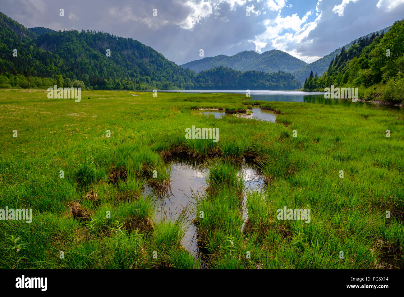 In Germania, in Baviera, Baviera, Reit im Winkl, Lago Weitsee vicino a Ruhpolding, Weitsee moor Foto Stock