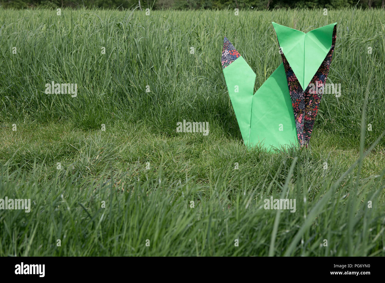 Origami fox seduti sul prato Foto Stock