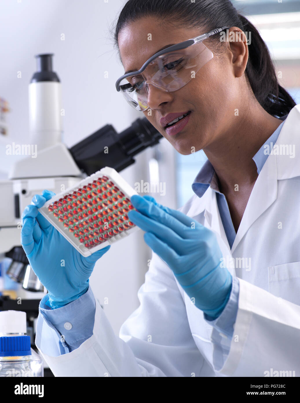 Donna scienziato preparare un multi ben vassoio contenente i campioni di sangue per il test clinico in laboratorio Foto Stock