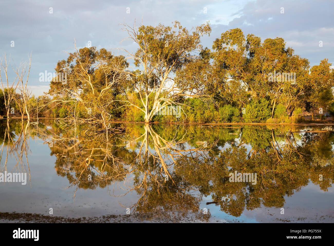 Lago con riflessi di alberi e nuvole Foto Stock
