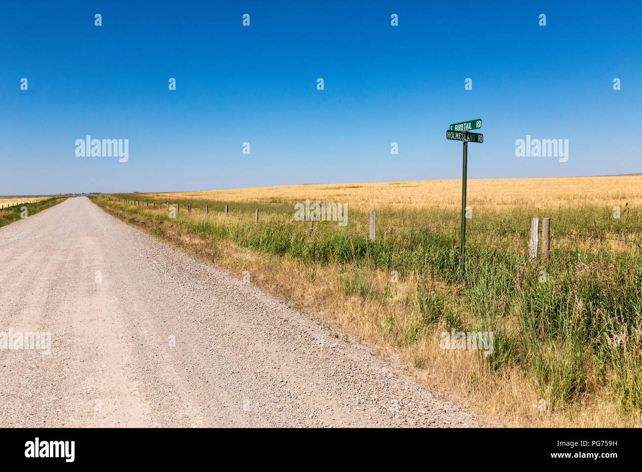 Strada di ghiaia in campagna Montana, USA Foto Stock