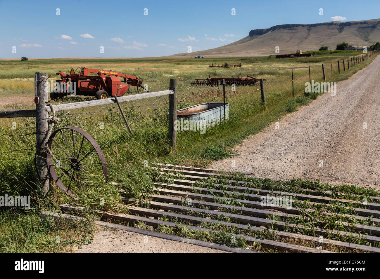 Protezione del bestiame al Ranch ingresso nella rurale Montana, USA Foto Stock