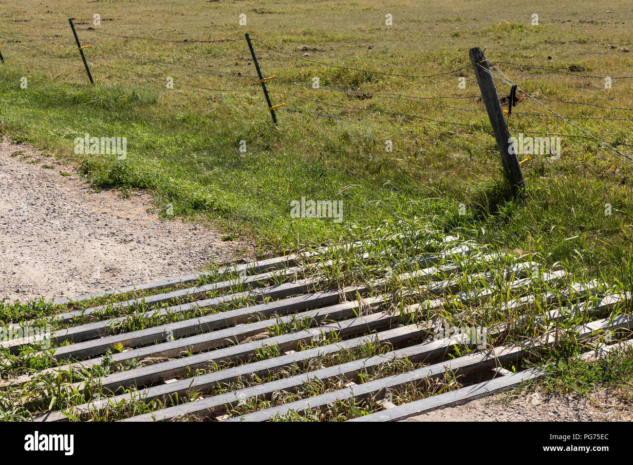 Protezione del bestiame al Ranch ingresso nella rurale Montana, USA Foto Stock