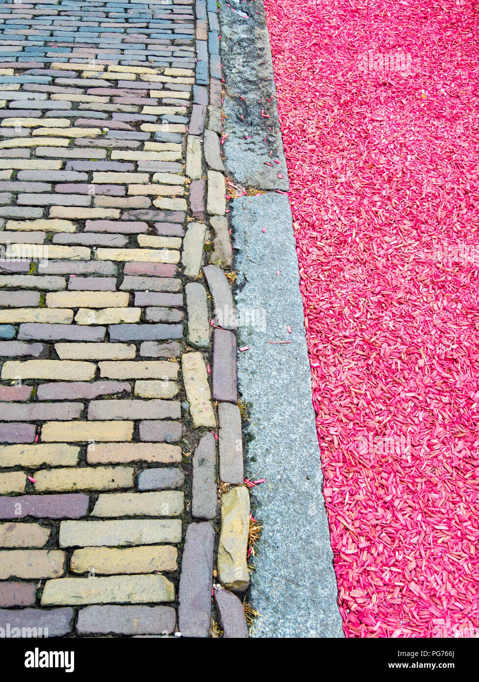 Pavimentazione contrastanti e rosa di truciolo, Moco, Amsterdam, Paesi Bassi Foto Stock