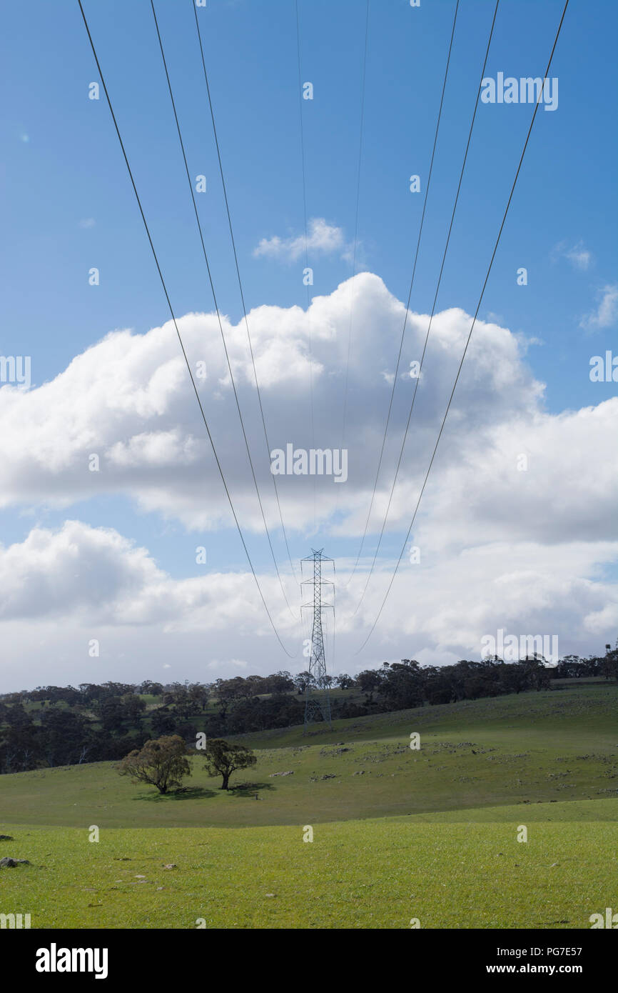 Elettricità casuale di linee di potenza e la torre di grandi dimensioni situato su terreni rurali a nord di Adelaide. Foto Stock