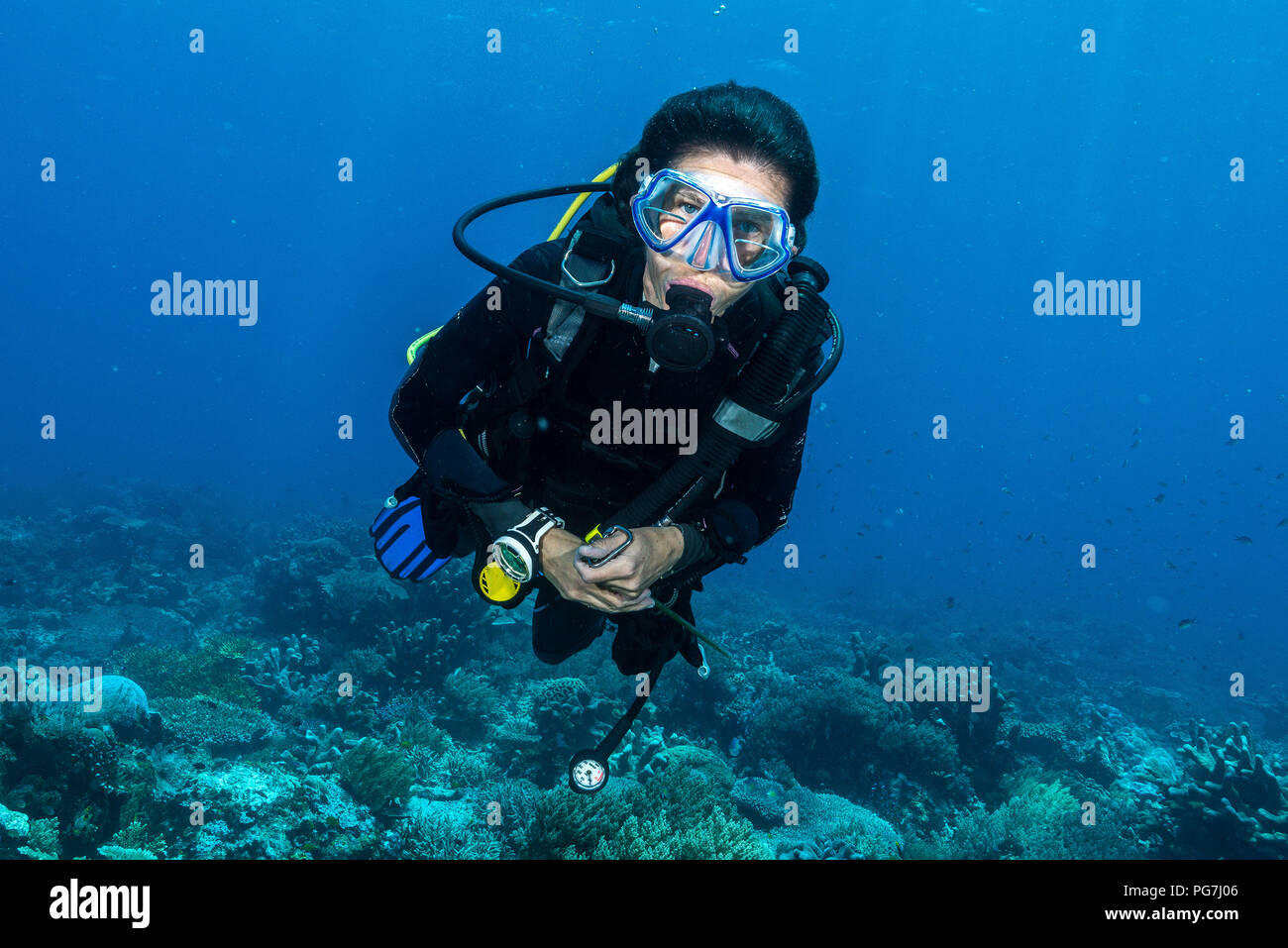 Donna subacquea subacqueo oltre un coloratissimo reef tropicali con  ventilatore di mare, corallo e spugna in Rajat Ampat, Indonesia Foto stock  - Alamy