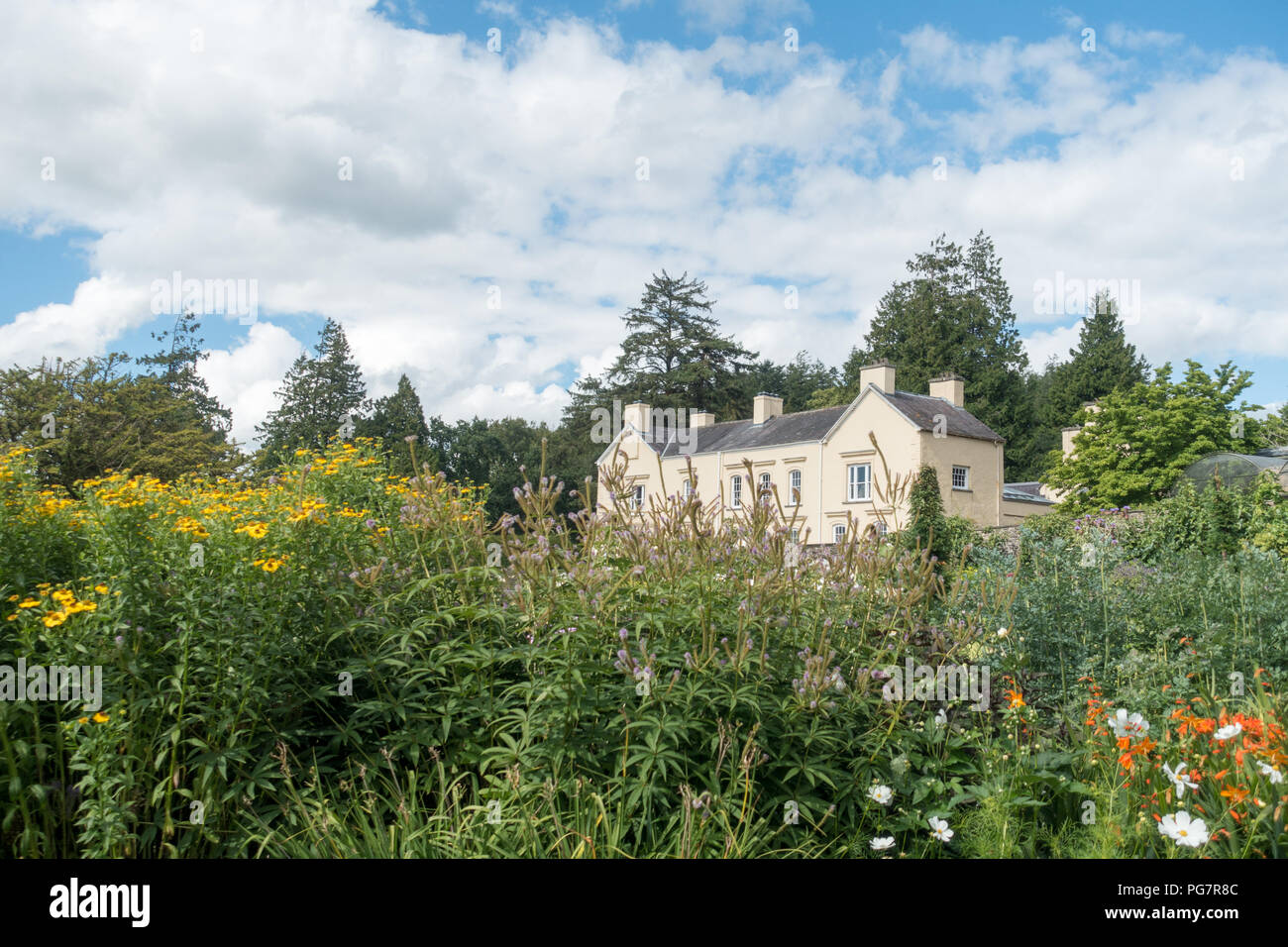 Aberglasney è una casa storica e giardini tra Llandeilo e Camarthen. Esso è stato presentato nel programma della BBC "Un giardino perduto nel tempo." Foto Stock