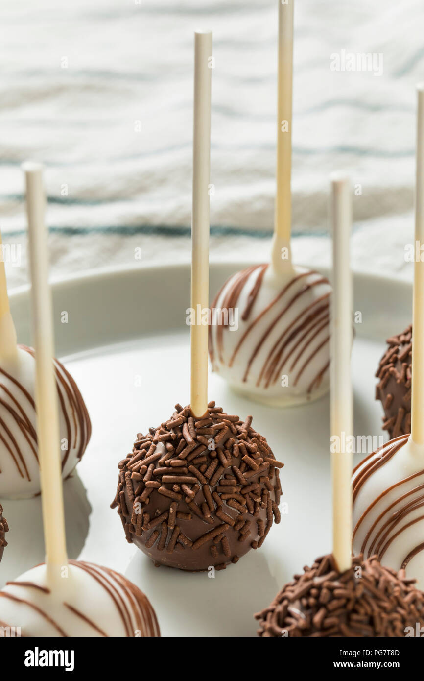 In casa dolce al cioccolato e vaniglia Cake Pops su una piastra Foto Stock