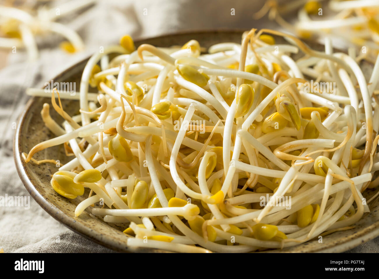 Materie organiche di germogli di fagioli di soia in una ciotola Foto Stock