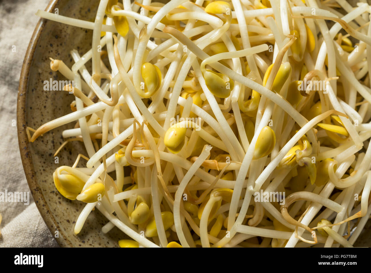 Materie organiche di germogli di fagioli di soia in una ciotola Foto Stock