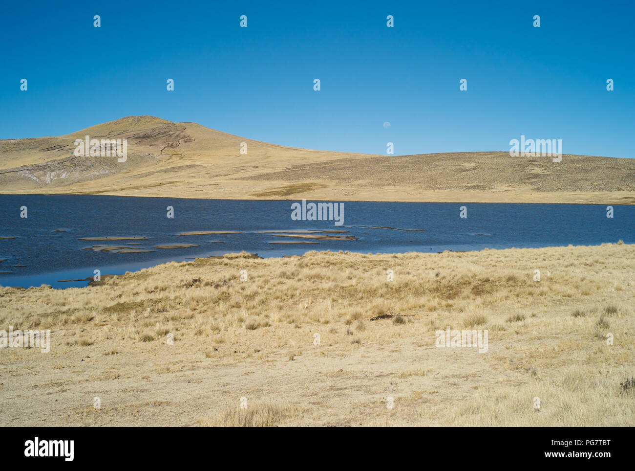 Paesaggio sereno con un lago blu scuro e erba dorata secca nella Valle del Colca, Perù Foto Stock