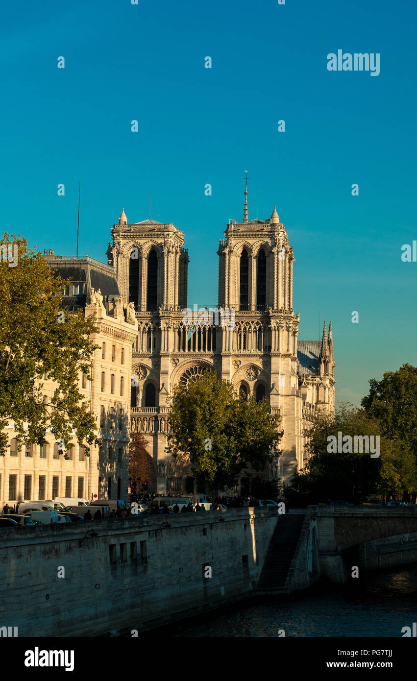Notre Dame de Paris Cattedrale di Notre Dame Parigi Francia Foto Stock