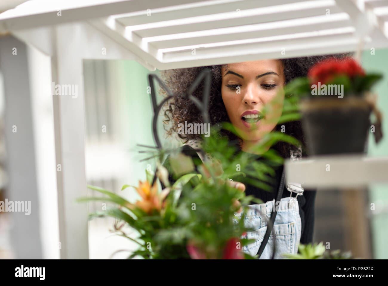Giovane donna la visione di piante in vaso di un negozio di fiori Foto Stock