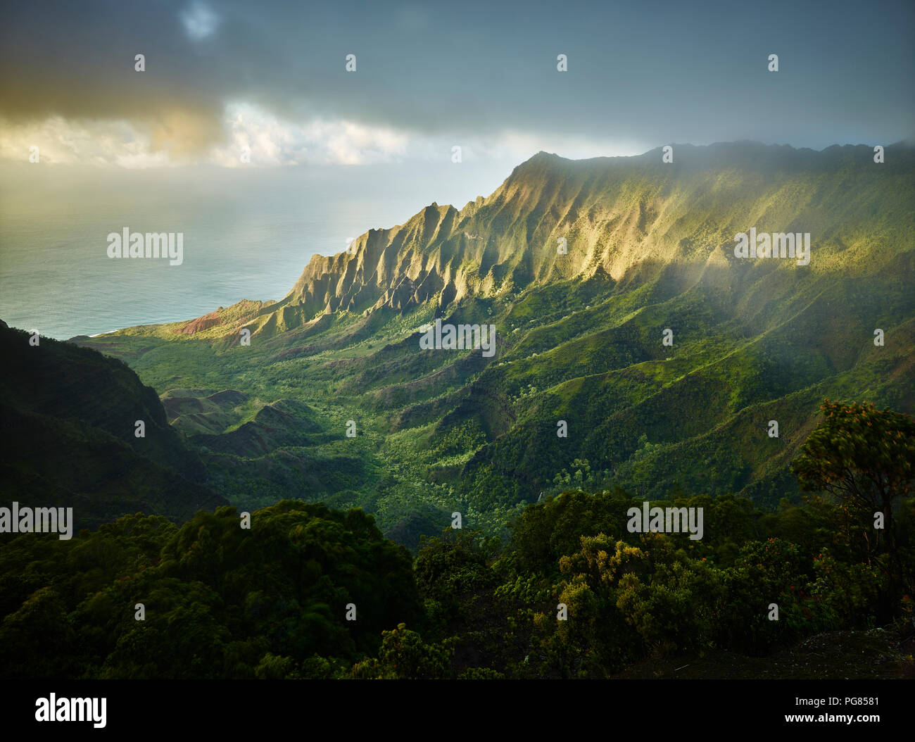 Stati Uniti d'America, Hawaii, Kauai, Valle Kalalau, Kokee State Park, vista aerea Foto Stock