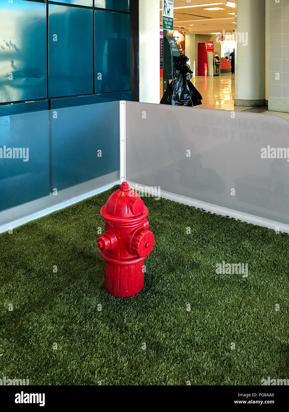 Cane area di sfiato per viaggiare cani, Aeroporto Philadelphia Philadelphia, Stati Uniti d'America. Foto Stock