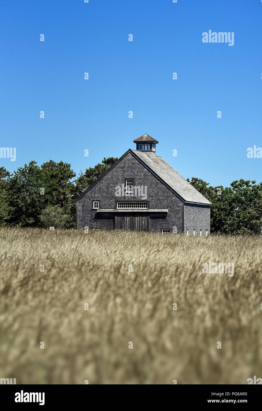 Rustico shingle Cedar Barn, Dennis, Cape Cod, Massachusetts, STATI UNITI D'AMERICA. Foto Stock