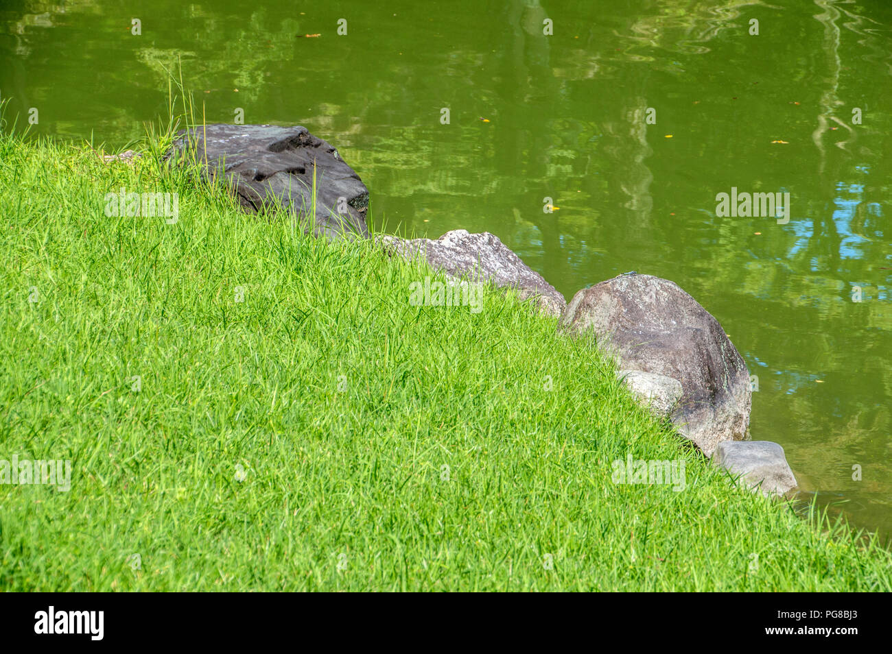 Dettaglio del Kyoto Oomiya Imperial Palace Garden a Kyoto in Giappone 2015 Foto Stock