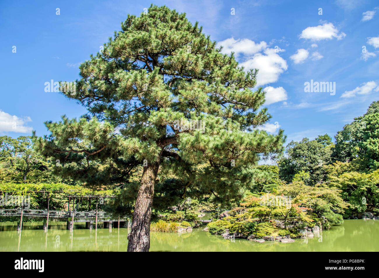 Dettaglio del Kyoto Oomiya Imperial Palace Garden a Kyoto in Giappone 2015 Foto Stock