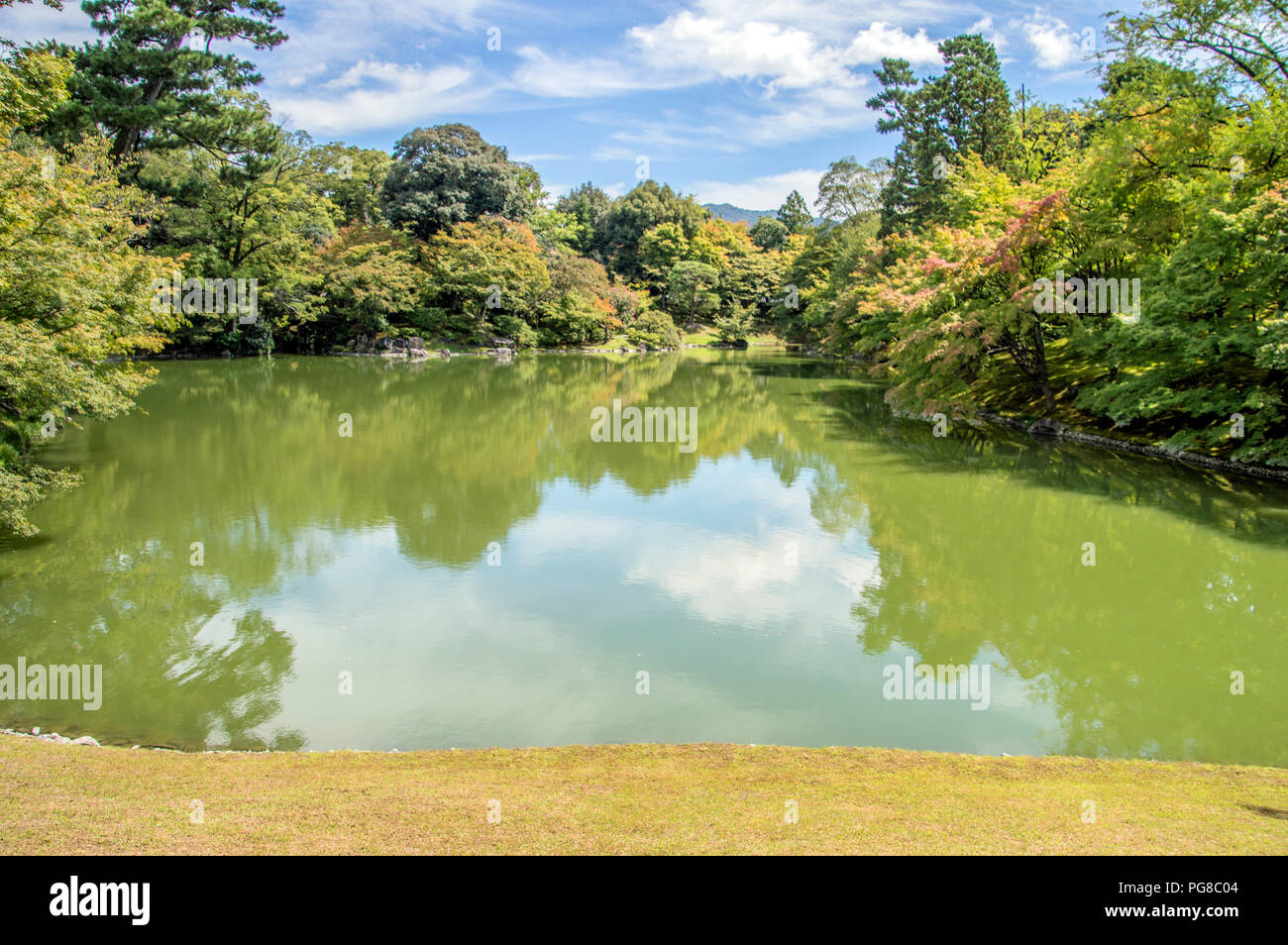 Dettaglio del Kyoto Oomiya Imperial Palace Garden a Kyoto in Giappone 2015 Foto Stock