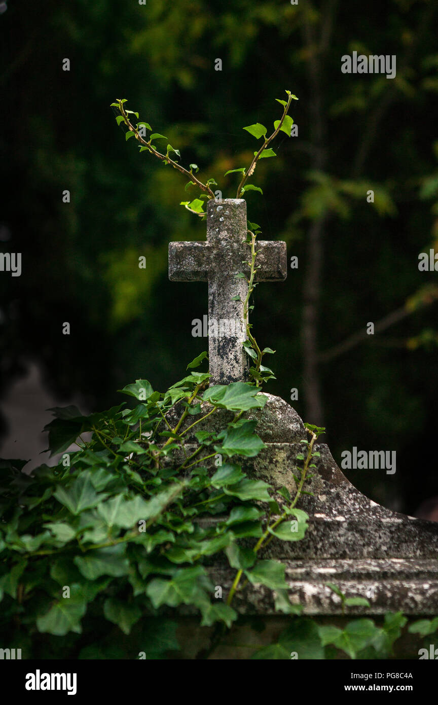 Il crescione sulla tomba Foto Stock