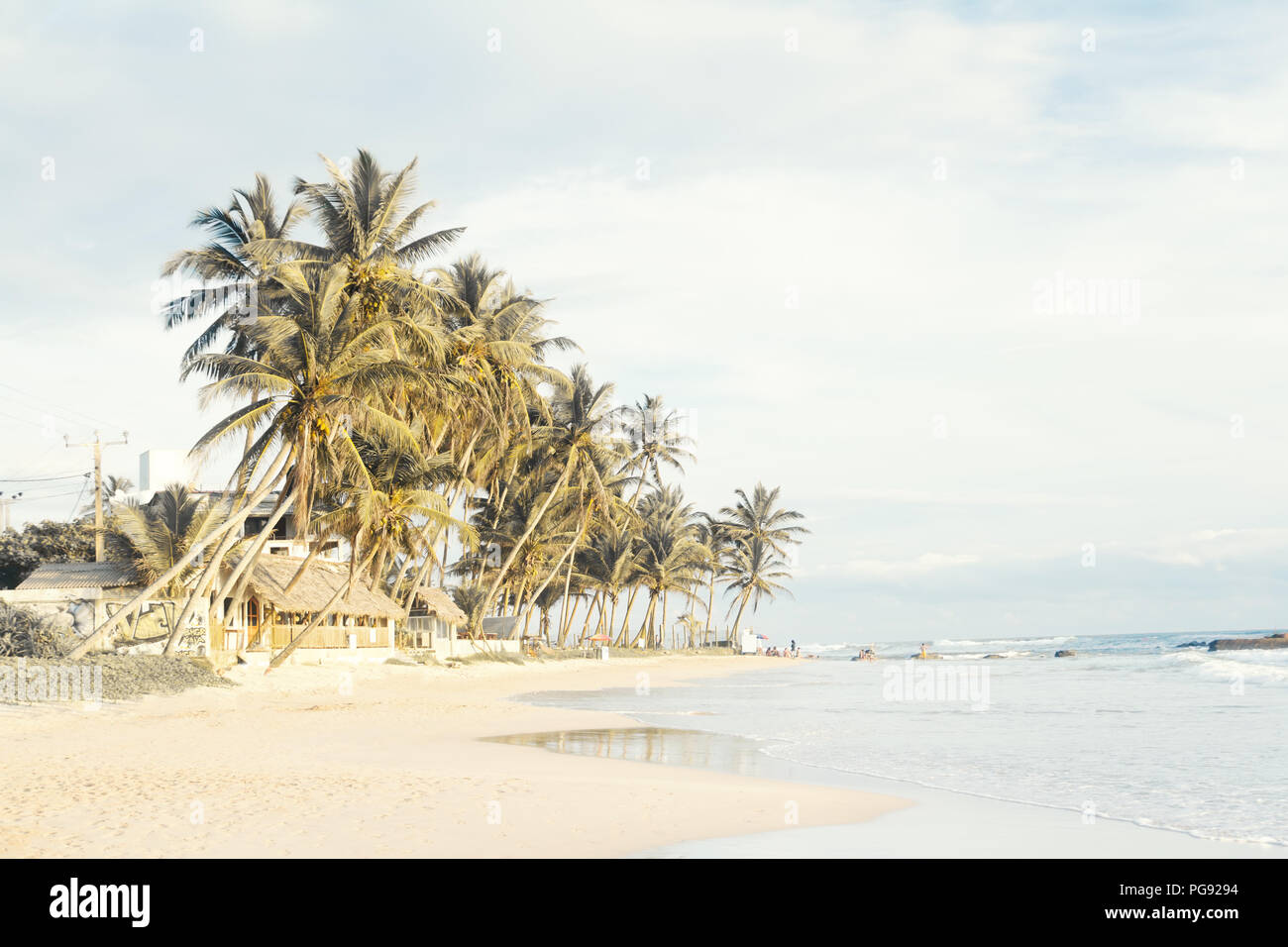 Una perfetta spiaggia tropicale con sabbia bianca Foto Stock